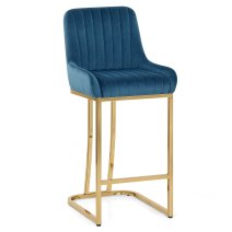 Paget BS Velvet