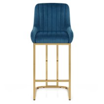 Paget BS Velvet