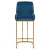 Paget BS Velvet